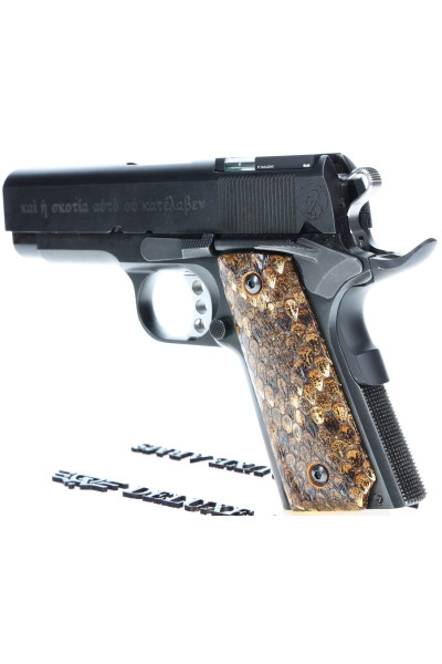 The Light Shining in Darkness